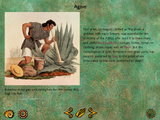 [Aztec: The Curse in the Heart of the City of Gold - скриншот №15]