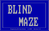 [Blind Maze - скриншот №1]