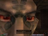 [The Elder Scrolls III: Morrowind - скриншот №63]