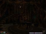 [The Elder Scrolls III: Morrowind - скриншот №87]