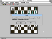 Expert Chess