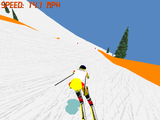 [Front Page Sports: Ski Racing - скриншот №8]