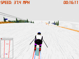 [Front Page Sports: Ski Racing - скриншот №9]