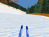 [Front Page Sports: Ski Racing - скриншот №19]