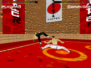 Karate Fighter