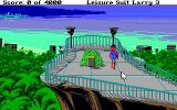 [Leisure Suit Larry III: Passionate Patti in Pursuit of the Pulsating Pectorals - скриншот №5]