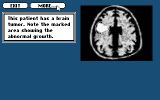 [Life & Death II: The Brain - скриншот №15]