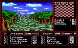 [Might and Magic II: Gates to Another World - скриншот №5]