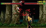 [Mortal Kombat II - скриншот №22]