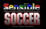 Sensible Soccer: European Champions: 92/93 Edition