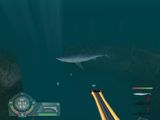[Shark! Hunting the Great White - скриншот №9]