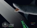 [Скриншот: Shark! Hunting the Great White]