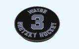 [Wayne Gretzky Hockey 3 - скриншот №1]