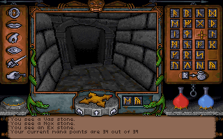 acdn.mobygames.com_screenshots_9812213_ultima_underworld_the_sa88cebaa2441f8eb83aa028cf5a77f9f.png