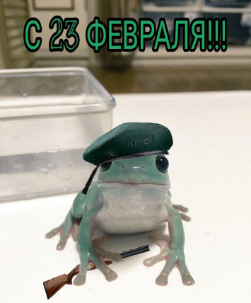 ai.ibb.co_4mLdK3R_123_frog.png