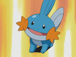 alh6.googleusercontent.com__H2kKTS9N2Fs_T7J_Eomh89I_AAAAAAAAAc0_fm6LMvkEp3U_s320_Birch_Mudkip.png