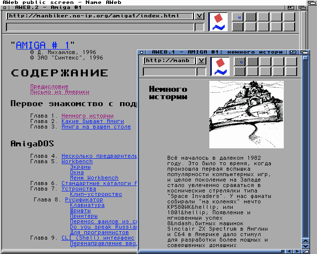 Amiga#1.png