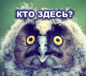 aotveti.xolodok.com.ua_wp_content_uploads_2012_01_kto_zdes_300x264.jpg