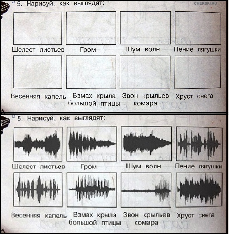 Взмах крыла комара. Нарисуй как выглядит Шелест листьев. Звукорежиссер приколы. Шутки про звукорежиссера. Юмор звукорежиссеров.