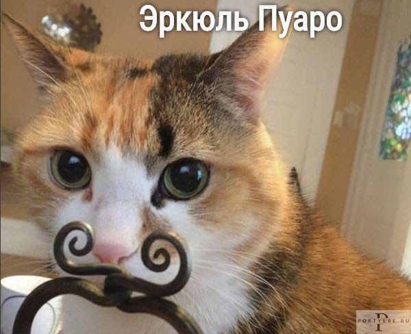 awww.anekdot.ru_i_caricatures_normal_22_11_8_1667920542.jpg