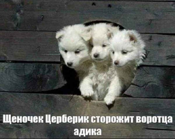 awww.anekdot.ru_i_caricatures_normal_23_3_12_1678648812.jpg