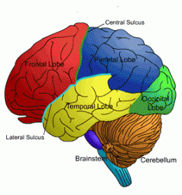 d36be5e73ea0ee53ee5292dc1c61476c.gif