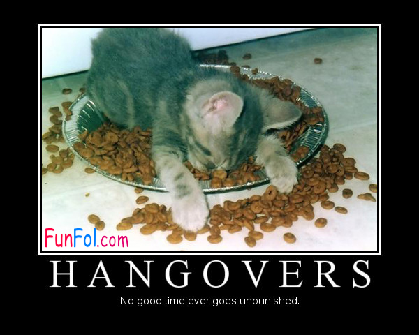 Hangovers No Good Time Ever Goes Unpunished.jpg