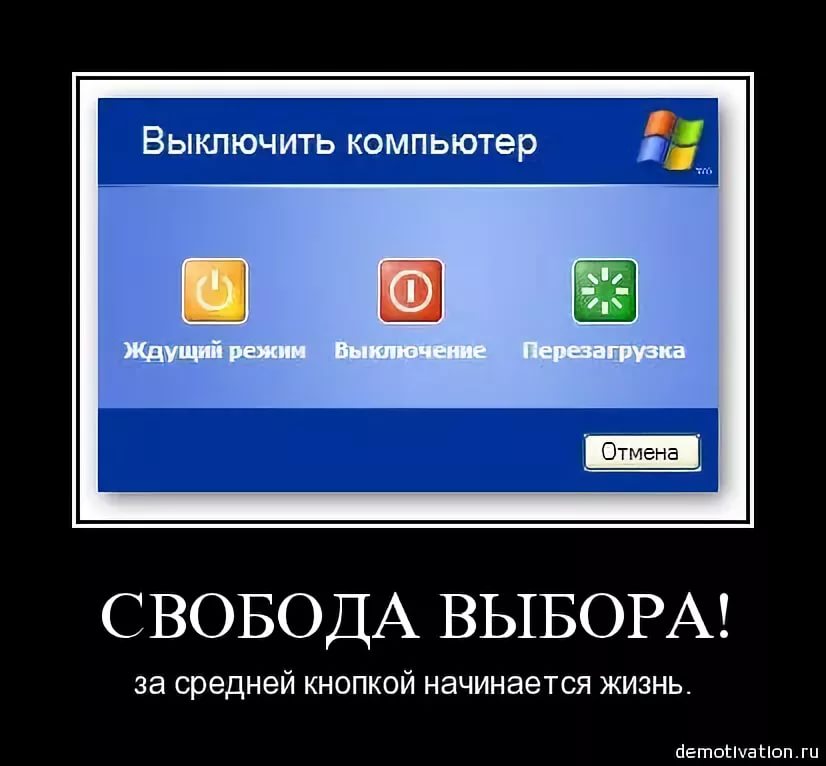 Свобода выбора. Свобода выбора юмор. Анекдот про свободу выбора. Свобода выбора прикол. Гаси компьютер.