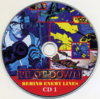 Pilot Down Behind Enemy Lines (World Game) (CD1).jpg