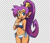 shantae-and-the-pirate-s-curse.jpg