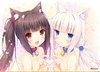 Nekopara-Foreign-VN-Визуальные-новеллы-фэндомы-4238107.jpeg