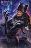 catwoman-by-ian-macdonald.jpg