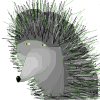 hedgehog_s.png