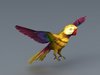 Yellow Parrot Bird.jpg