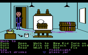 Maniac Mansion