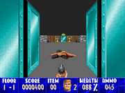 Wolfenstein 3D