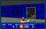 Wolfenstein 3D