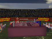 3D Muay Thai