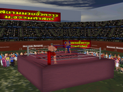 3D Muay Thai