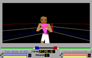 4-D Boxing