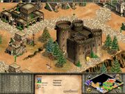 Age of Empires II: The Conquerors