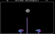 Arcade Volleyball