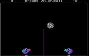 Arcade Volleyball