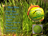 [Davis Cup Complete Tennis - скриншот №4]