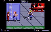 Double Dragon II: The Revenge