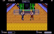 Double Dragon II: The Revenge