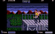 Double Dragon II: The Revenge