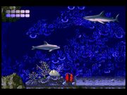 Ecco the Dolphin