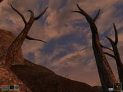 The Elder Scrolls III: Morrowind