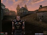 The Elder Scrolls III: Morrowind